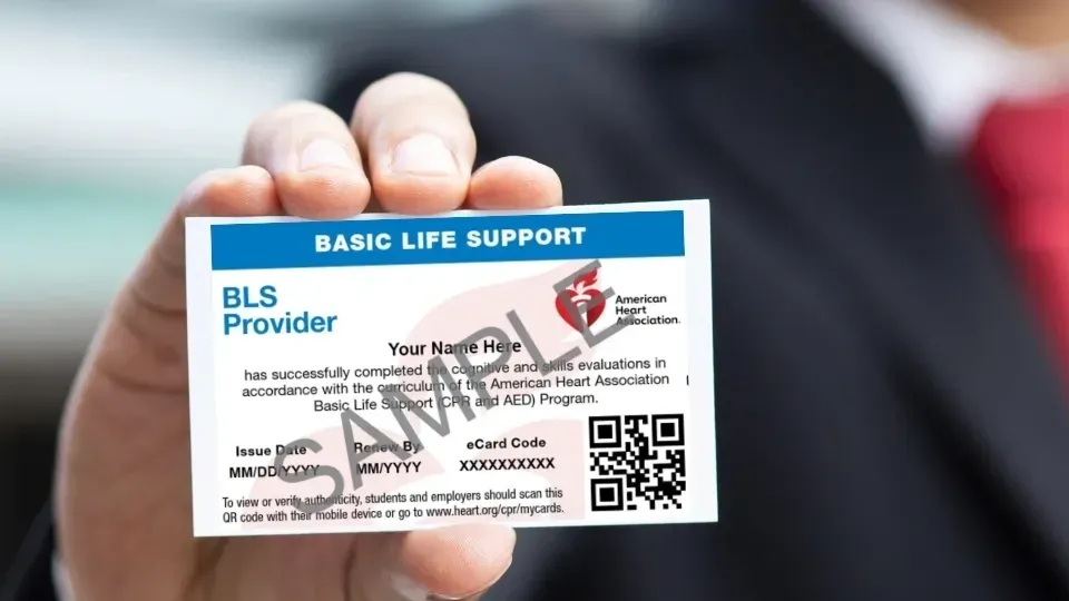BLS Certification