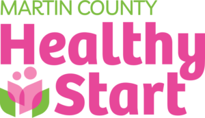 mchs-2-logo